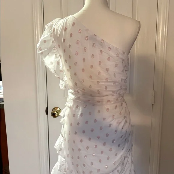 “LOVERS + FRIENDS” X Revolve Whitney Rose Dress - Picture 13 of 16